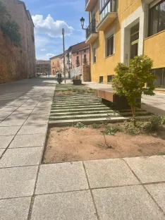 Foto 16 - Soria estrena zonas verdes: cuando el jard&iacute;n se independiza del jardinero