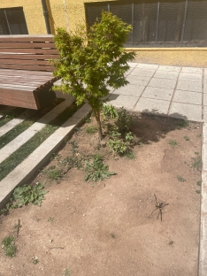 Foto 17 - Soria estrena zonas verdes: cuando el jard&iacute;n se independiza del jardinero