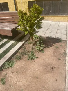 Foto 17 - Soria estrena zonas verdes: cuando el jard&iacute;n se independiza del jardinero