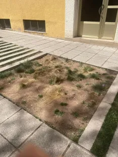 Foto 18 - Soria estrena zonas verdes: cuando el jard&iacute;n se independiza del jardinero