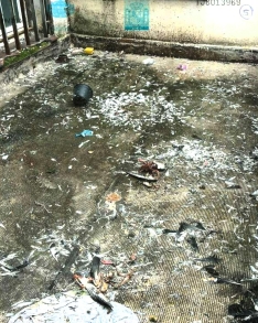 Imágenes contenidas en el acta notarial de presencia que documenta la denuncia que realiza la comunidad de El Collado 22.