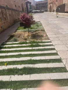 Foto 19 - Soria estrena zonas verdes: cuando el jard&iacute;n se independiza del jardinero