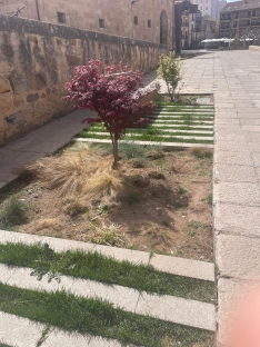 Foto 20 - Soria estrena zonas verdes: cuando el jard&iacute;n se independiza del jardinero