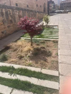 Foto 20 - Soria estrena zonas verdes: cuando el jard&iacute;n se independiza del jardinero
