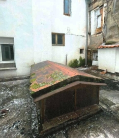 Imágenes contenidas en el acta notarial de presencia que documenta la denuncia que realiza la comunidad de El Collado 22.