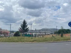 Foto 23 - Soria estrena zonas verdes: cuando el jard&iacute;n se independiza del jardinero