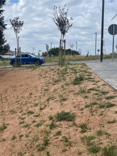 Foto 24 - Soria estrena zonas verdes: cuando el jard&iacute;n se independiza del jardinero