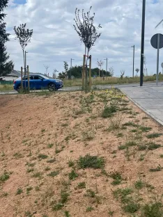 Foto 24 - Soria estrena zonas verdes: cuando el jard&iacute;n se independiza del jardinero