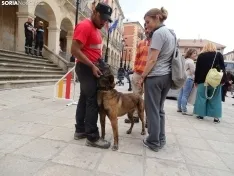 Una imagen del acto de la UME hoy en Soria. /PC