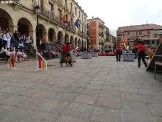 Una imagen del acto de la UME hoy en Soria. /PC