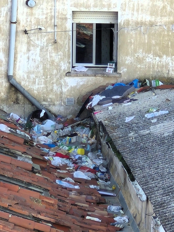 Vecinos de la calle Ángel Terrel denuncian vertidos y plagas