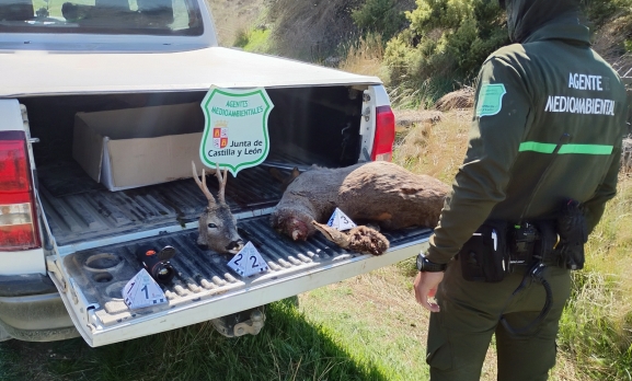 Sorprendido tres veces en una semana cuando abatía animales con visores térmicos