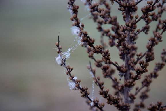 AEMET activa aviso amarillo por nieve 11 y 12 de abril