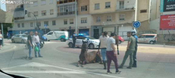 Una rotonda, dos caballos y un curioso incidente