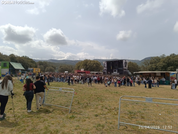 Tradición y hermandad en Campiserrado: Ólvega celebra San Marcos entre cuadrillas y hogueras