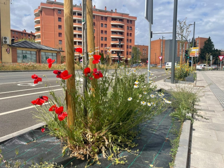 Soria estrena zonas verdes: cuando el jardín se independiza del jardinero