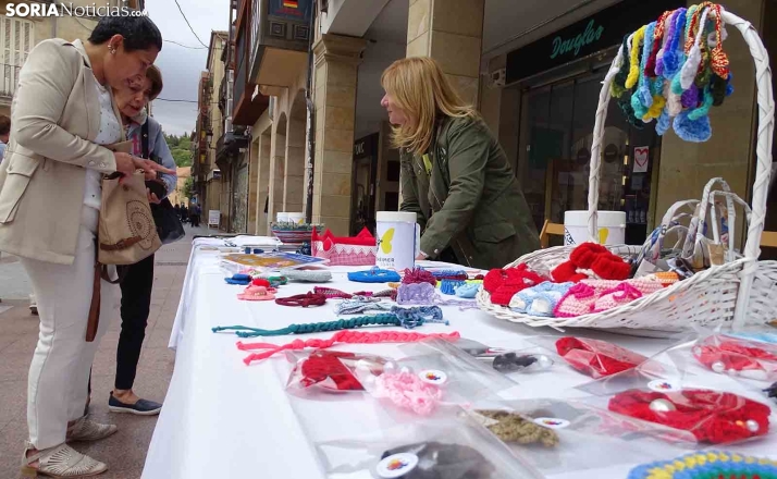 Alzheimer Soria busca apoyo ciudadano para conseguir una ayuda nacional de 5.000 euros