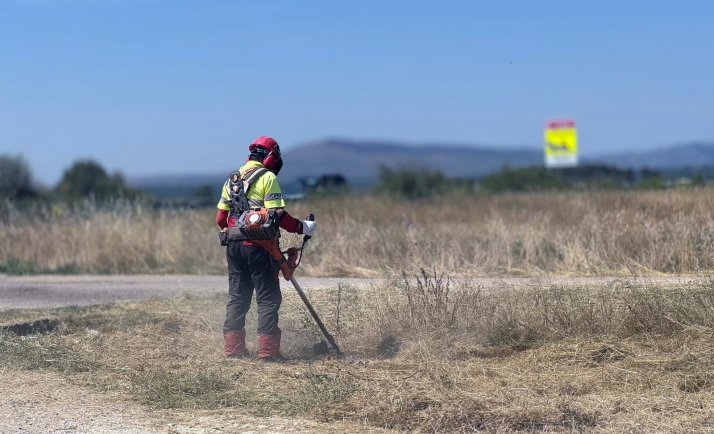 Solicitud de brigadas forestales a la Diputación de Soria