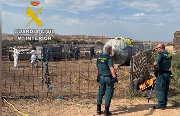 Los ladrones del campo con tres condenas previas se enfrentarán a penas mayores