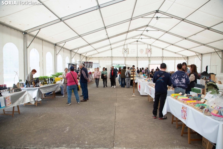 II Fiesta de la Primavera