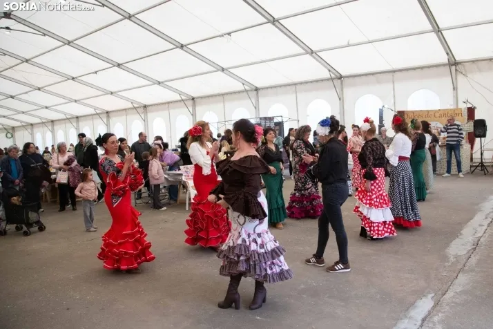 II Fiesta de la Primavera