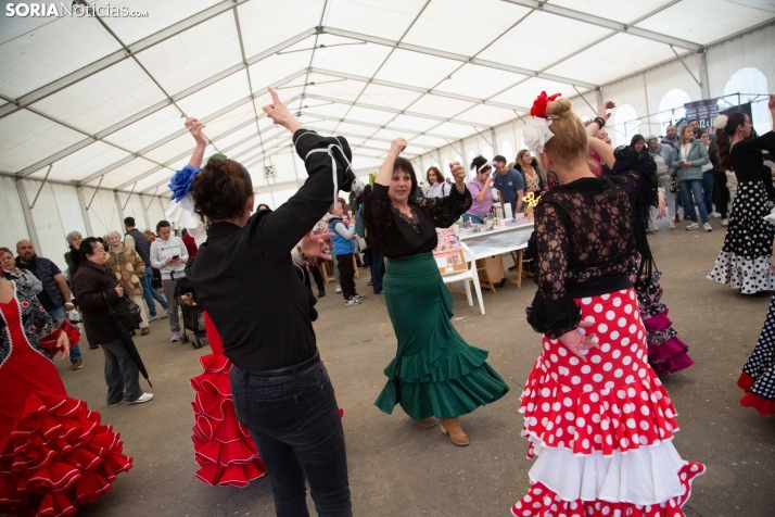 II Fiesta de la Primavera