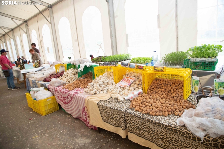 II Fiesta de la Primavera