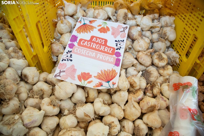 II Fiesta de la Primavera