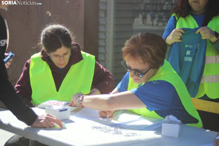 Carrera y marcha solidaria del Día de Castilla y León