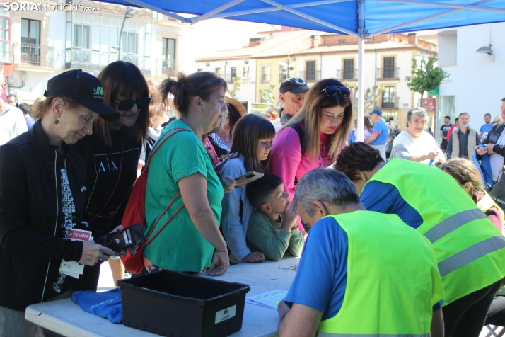 Carrera y marcha solidaria del Día de Castilla y León