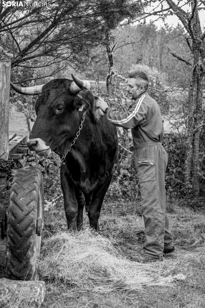 XXVII Ruta Carreteril./ Viksar Fotografía
