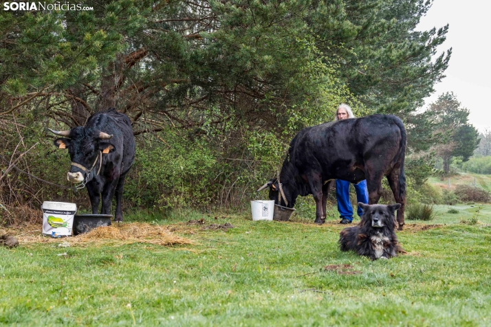XXVII Ruta Carreteril./ Viksar Fotografía