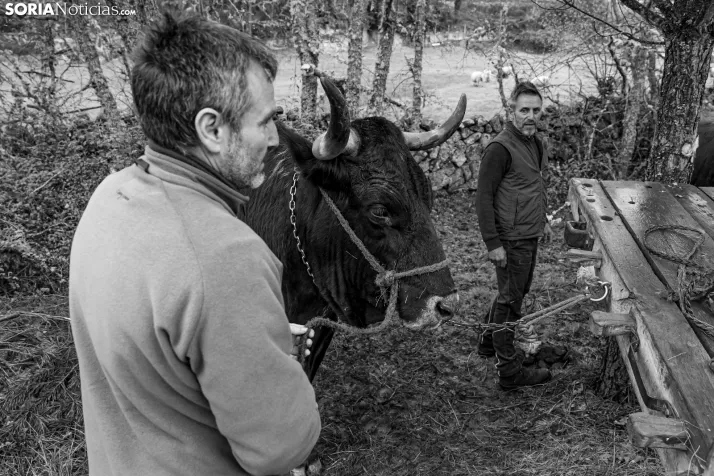 XXVII Ruta Carreteril./ Viksar Fotografía