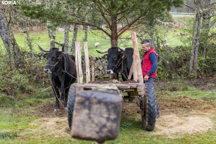 XXVII Ruta Carreteril./ Viksar Fotografía