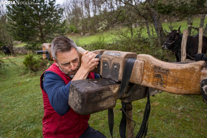 XXVII Ruta Carreteril./ Viksar Fotografía