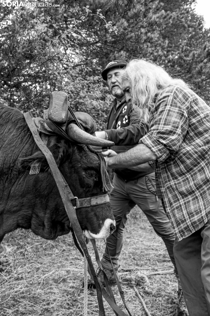 XXVII Ruta Carreteril./ Viksar Fotografía