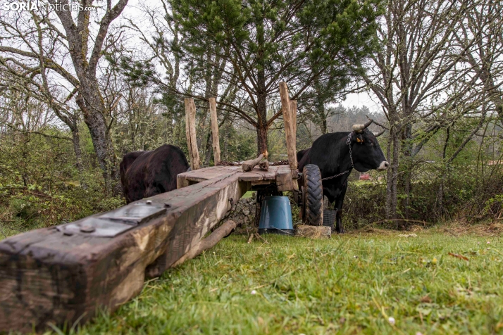 XXVII Ruta Carreteril./ Viksar Fotografía