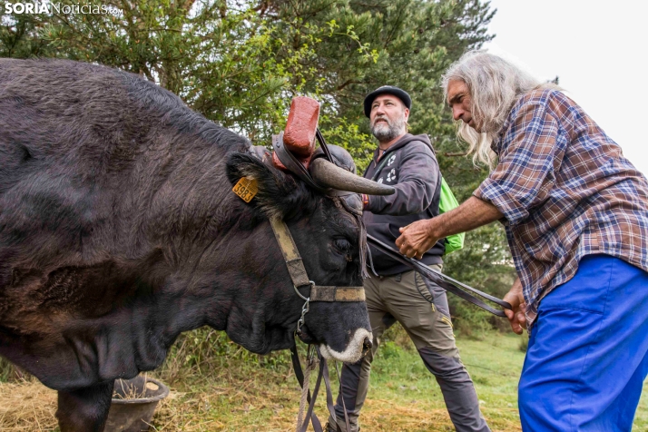XXVII Ruta Carreteril./ Viksar Fotografía