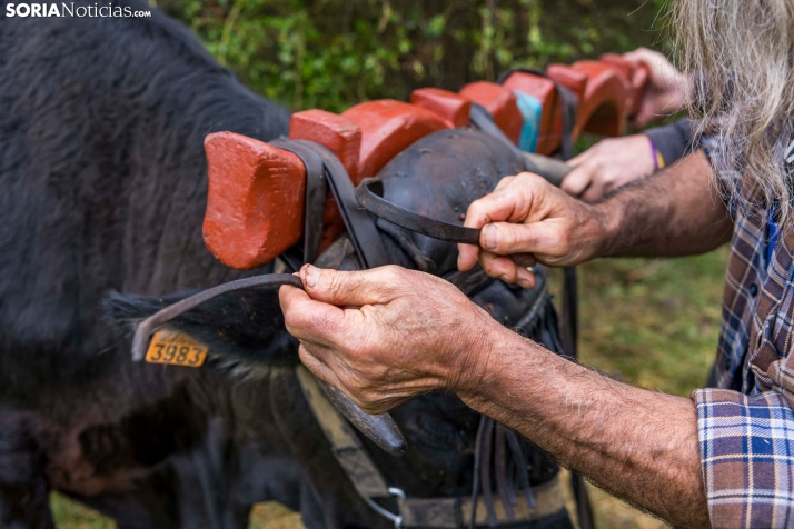 XXVII Ruta Carreteril./ Viksar Fotografía