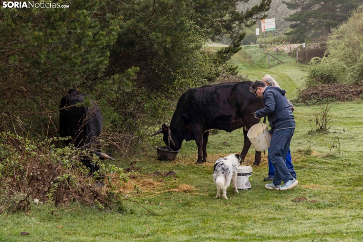 XXVII Ruta Carreteril./ Viksar Fotografía