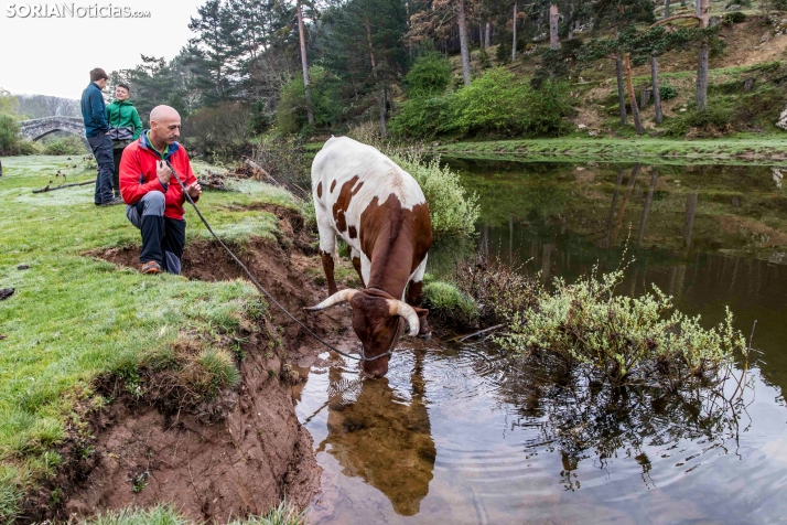 XXVII Ruta Carreteril./ Viksar Fotografía