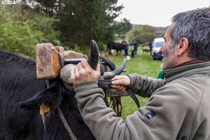 XXVII Ruta Carreteril./ Viksar Fotografía
