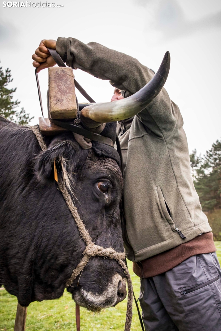 XXVII Ruta Carreteril./ Viksar Fotografía