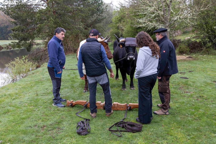 XXVII Ruta Carreteril./ Viksar Fotografía
