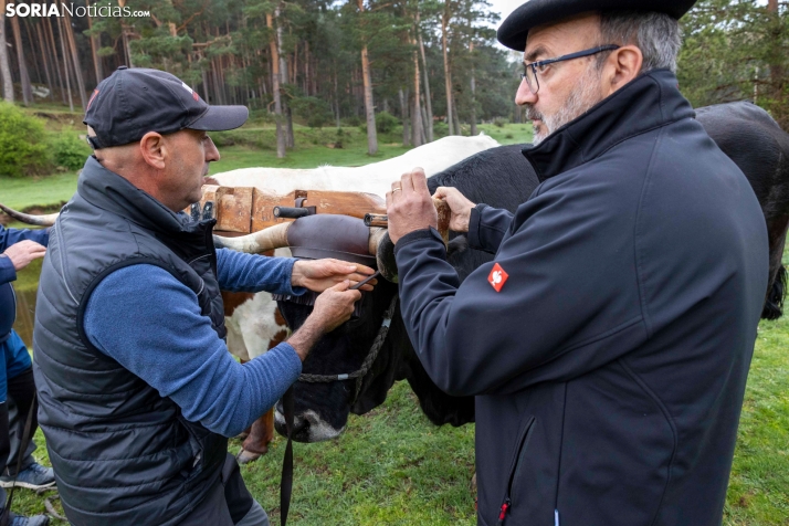 XXVII Ruta Carreteril./ Viksar Fotografía