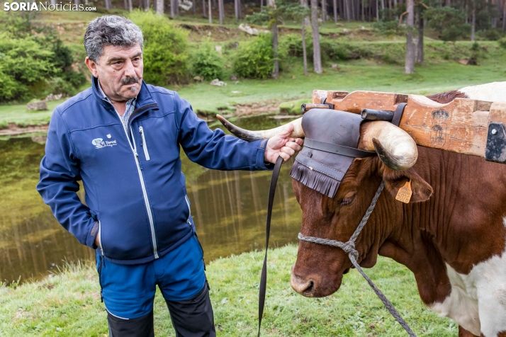 XXVII Ruta Carreteril./ Viksar Fotografía