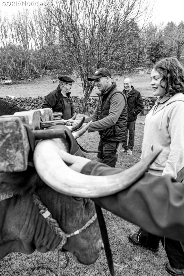 XXVII Ruta Carreteril./ Viksar Fotografía