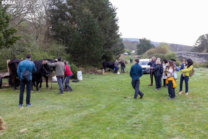 XXVII Ruta Carreteril./ Viksar Fotografía