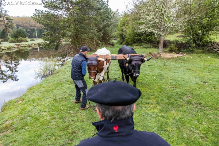 XXVII Ruta Carreteril./ Viksar Fotografía