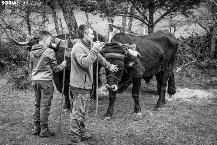 XXVII Ruta Carreteril./ Viksar Fotografía